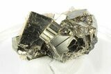 Striated, Cubic Pyrite Crystals - Peru #250268-1